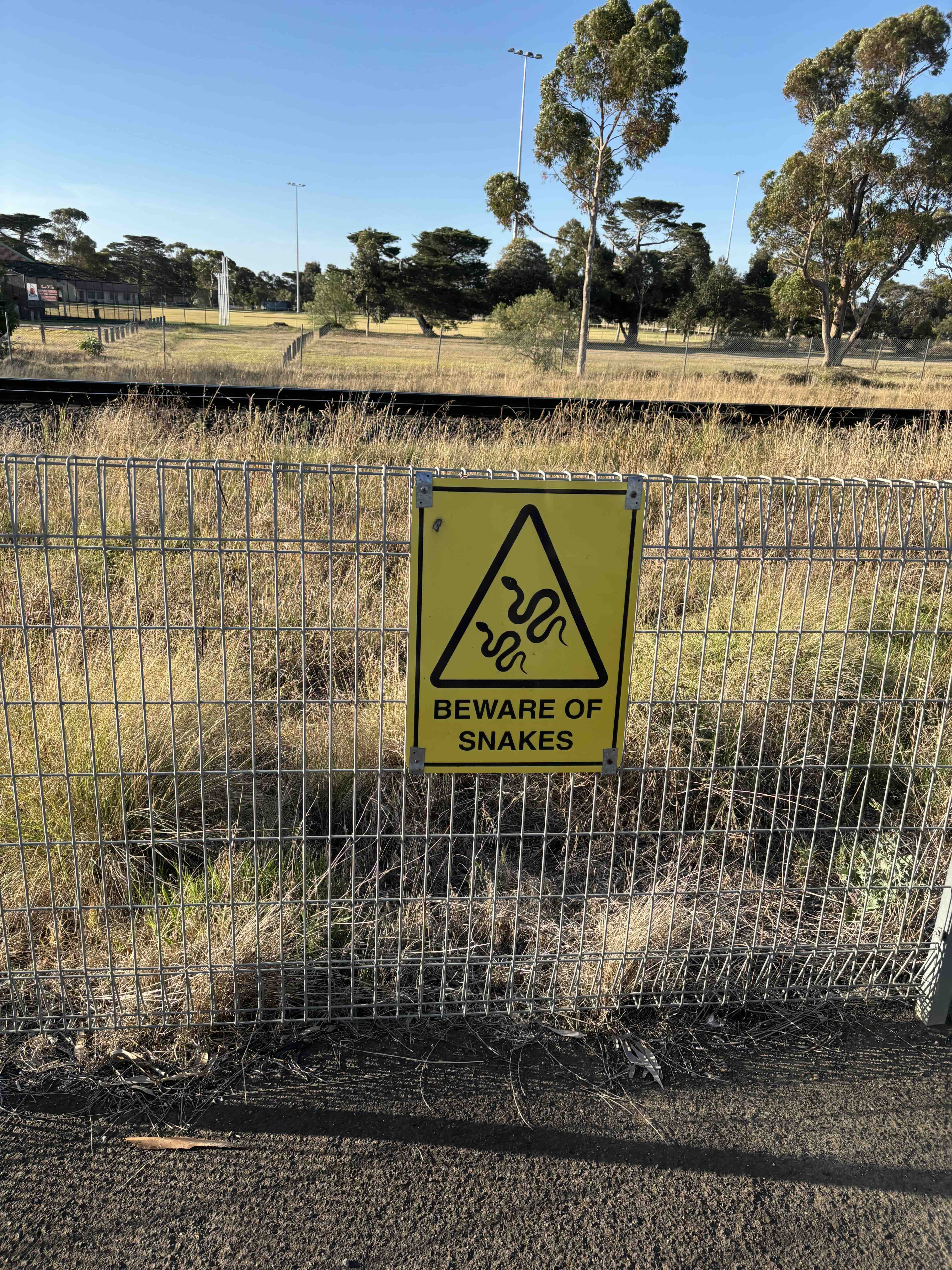 Beware at snakes from Little River with a grassy yellow background on a fence protecting the railway line. 